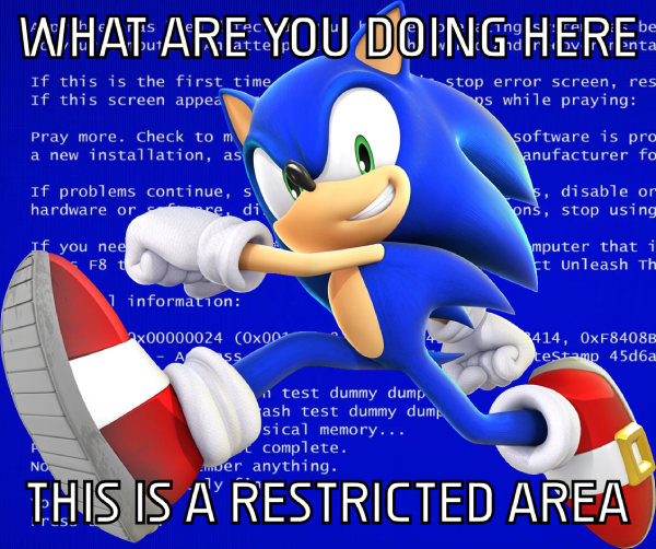 an image of Sonic in front of a Blue Screen of Death. Text reads 'What are you doing here, this is a restricted area'